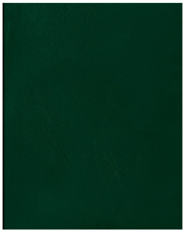Тетрадь общая А5, 96 л. на скобе BG 160×202 мм, клетка, зеленая